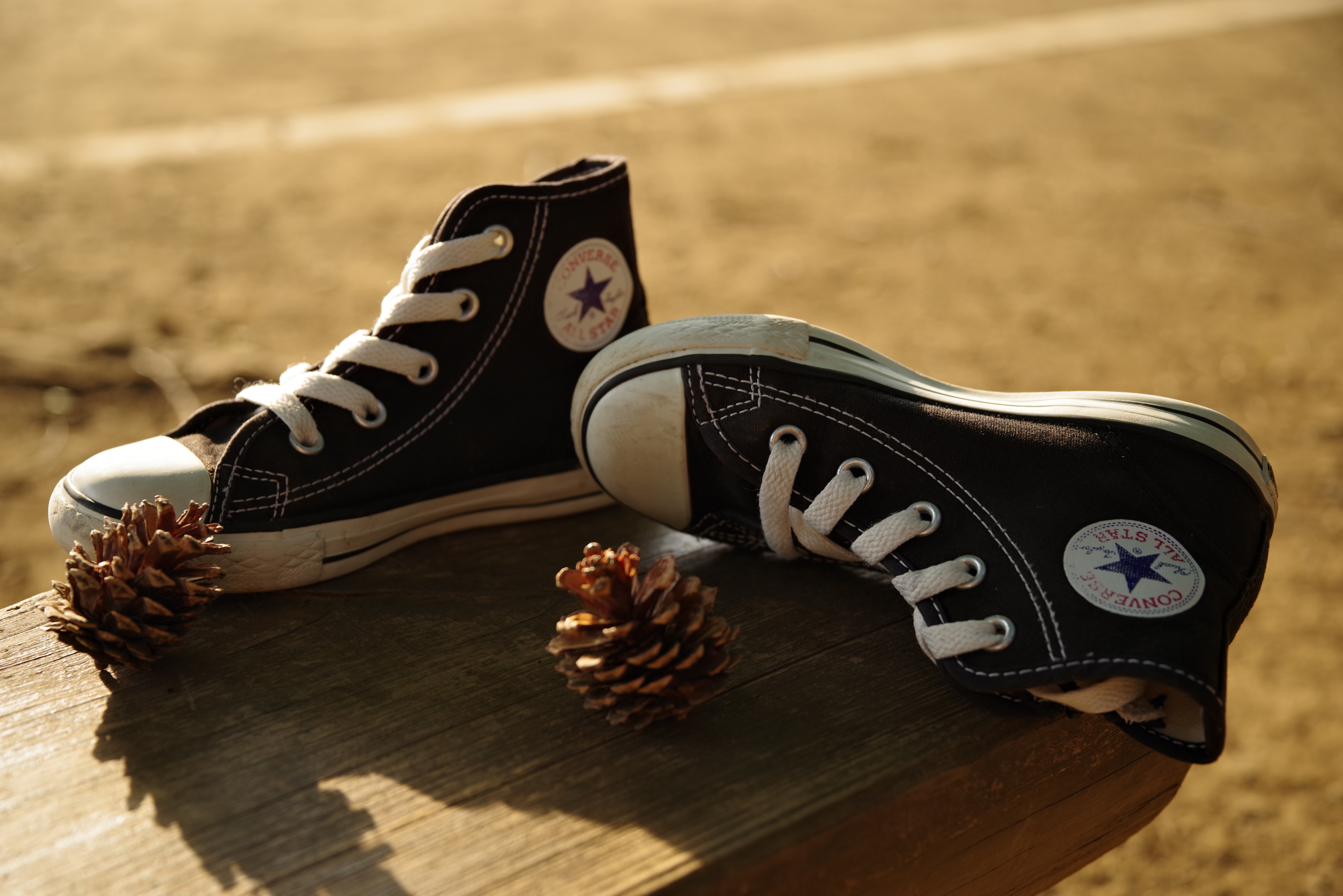 PENTAX K-1 Mark II / HD PENTAX-D FA 28-105mmF3.5-5.6ED DC WR / 1/160秒 / F5.6 / +1EV / ISO 250 / マニュアル露出 / 58mm