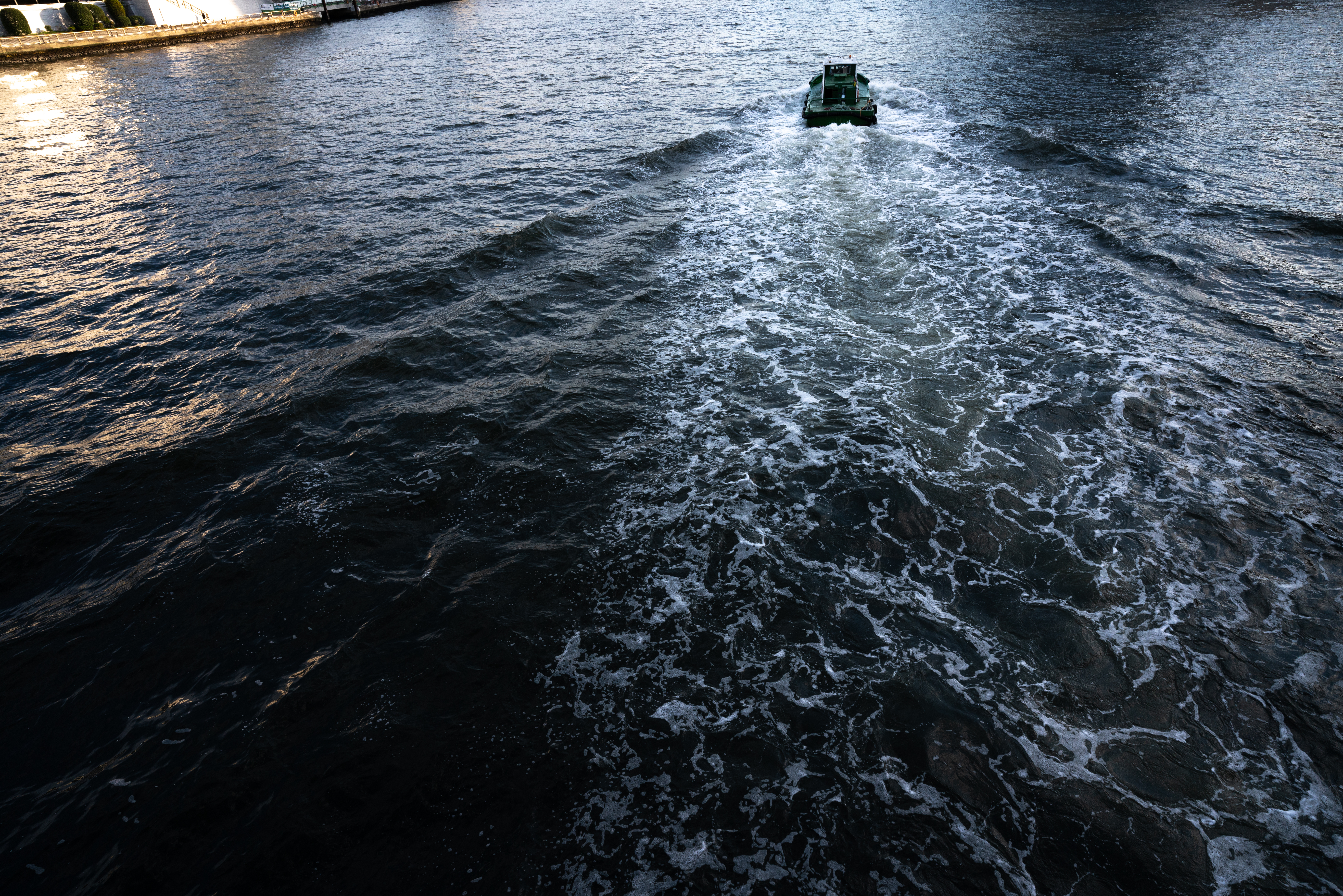 α7R III / FíRIN 20mm F2 FE AF / マニュアル露出（1/250秒・F10） / ISO 250