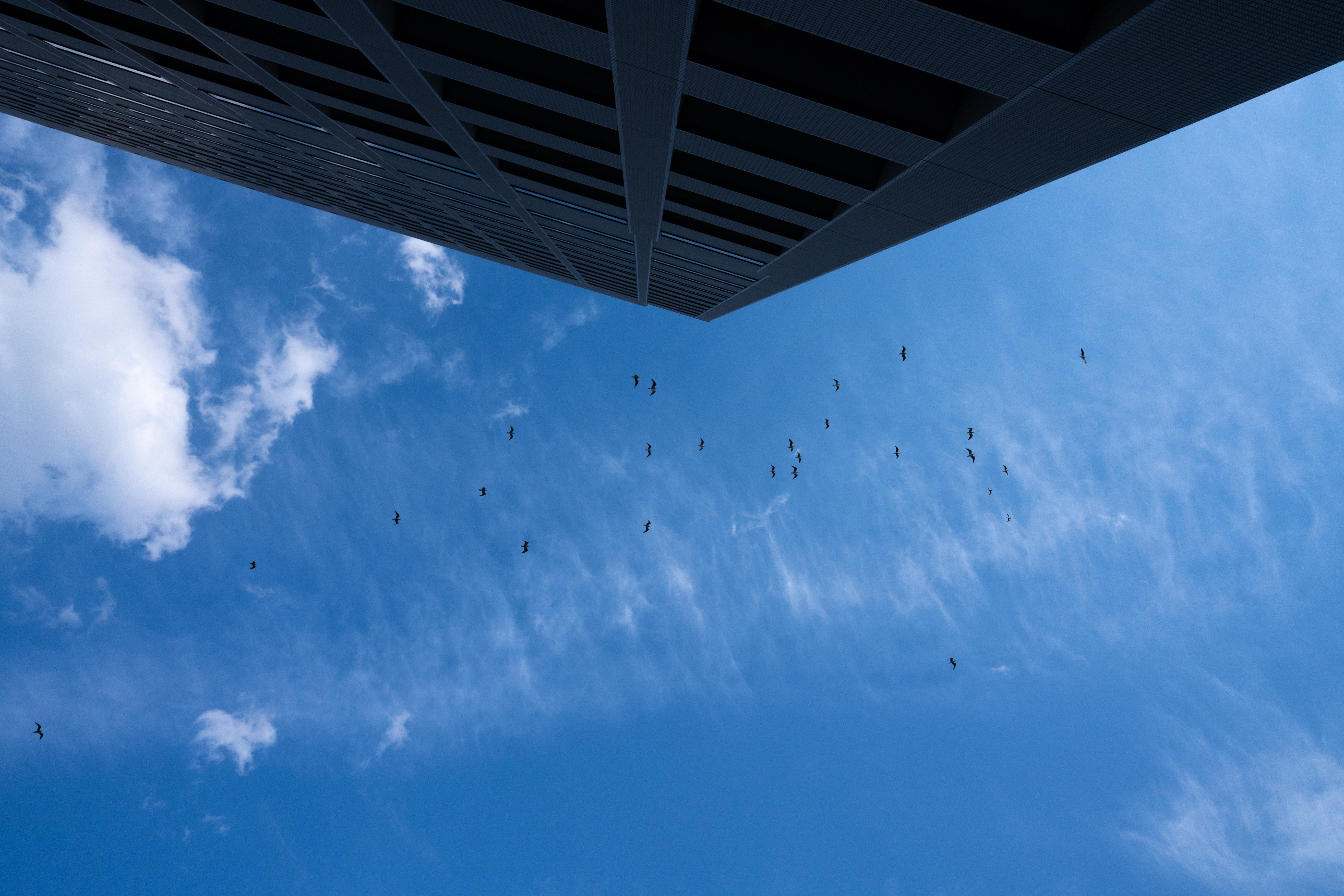 α7R III / FíRIN 20mm F2 FE AF / マニュアル露出（1/640秒・F9） / ISO 400