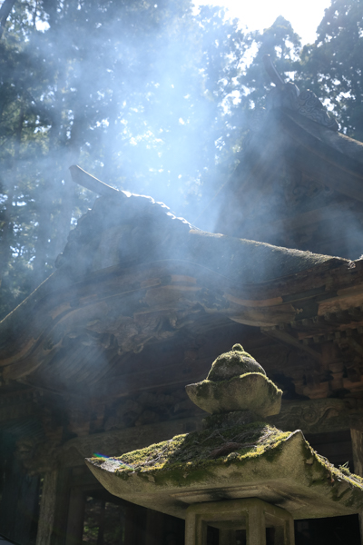 撮影：秦達夫<br><span class="fnt-85">EOS 5D Mark IV / EF24-105mm F4L IS II USM / 1/500秒 / F5.6 / -0.3EV / ISO 400 / 絞り優先AE / 50mm</span>