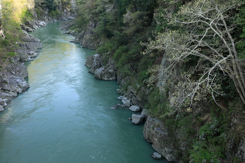 撮影：秦達夫<br><span class="fnt-85">EOS 5D Mark IV / EF24-105mm F4L IS II USM / 1/20秒 / F8 / -0.7EV / ISO 200 / 絞り優先AE / 45mm</span>