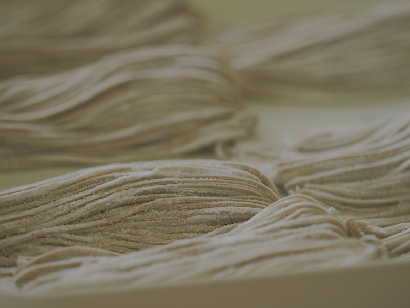 撮影：秦達夫<br><span class="fnt-85">OLYMPUS OM-D E-M1 Mark II / M.ZUIKO DIGITAL ED 40-150mm F2.8 PRO / 1/1,250秒 / F2.8 / 0EV / ISO 1600 / 絞り優先AE / 110mm</span>