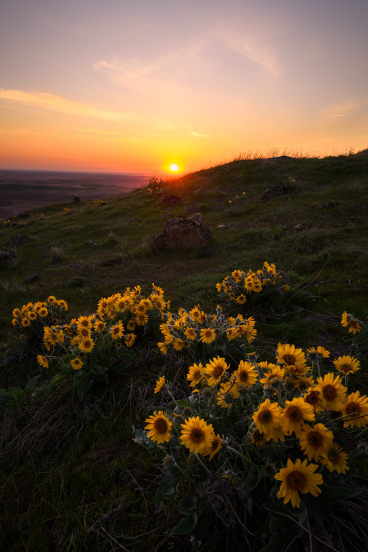 ニコン D850/ AF-S NIKKOR 24-70mm f/2.8E ED VR / 24mm / マニュアル露出（F13、1/60秒） / ISO 400