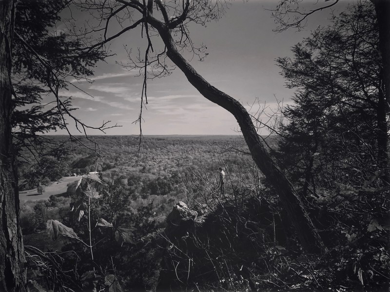 Still.<br><span class="fnt-85">© Megan Johnson, courtesy of Sony World Photography Awards 2018</span>