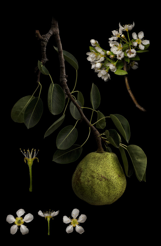 La France<br><span class="fnt-85">© Masumi Shiohara, courtesy of Sony World Photography Awards 2018</span>