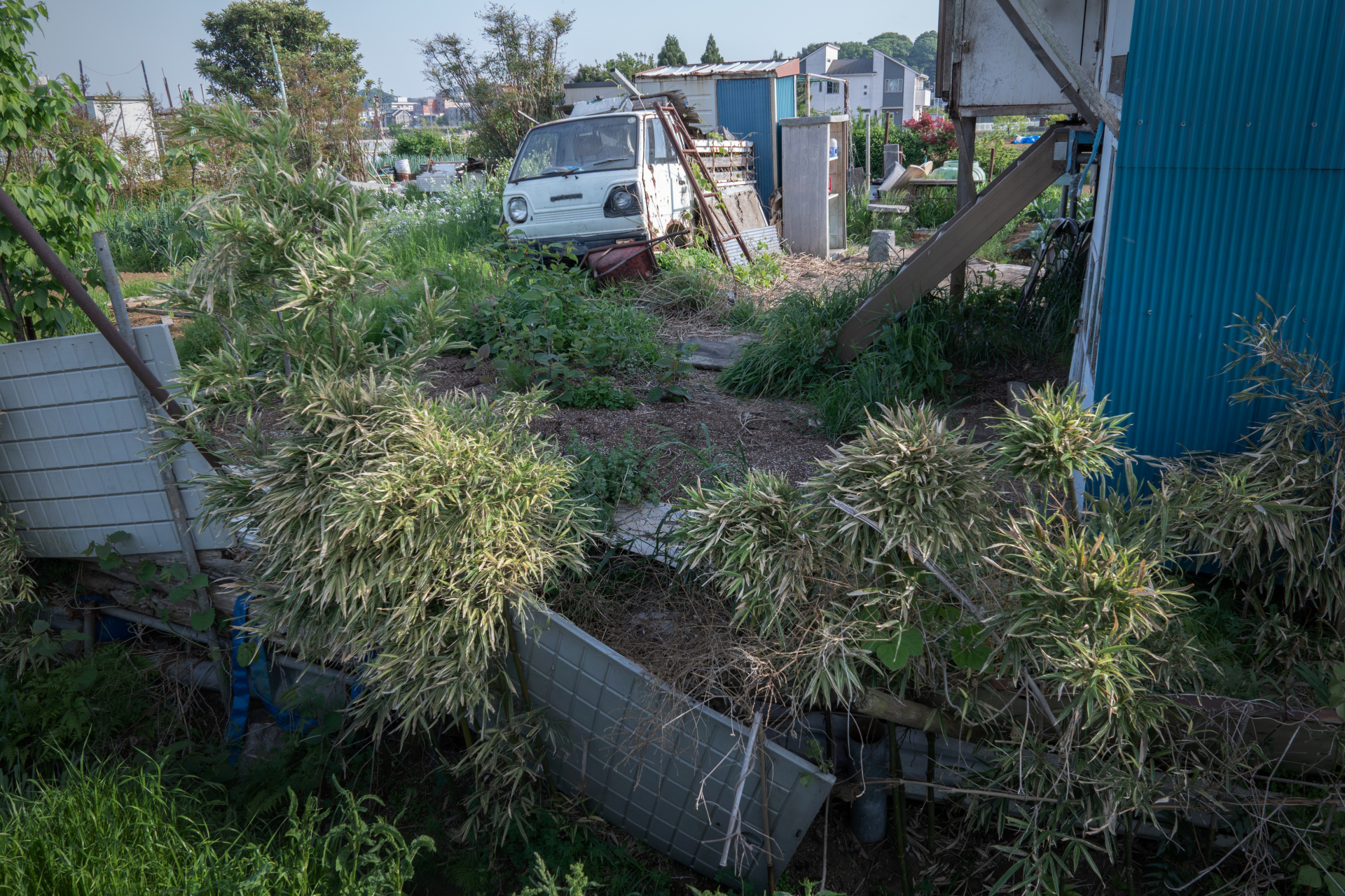 この日は自転車で移動したが、小型軽量なライカCLとの組み合わせではまったくライドの邪魔にならず快適に撮影しつつポタリングできた。ライカCL / ISO100 / F8 / 1/50秒 / WB:4500K