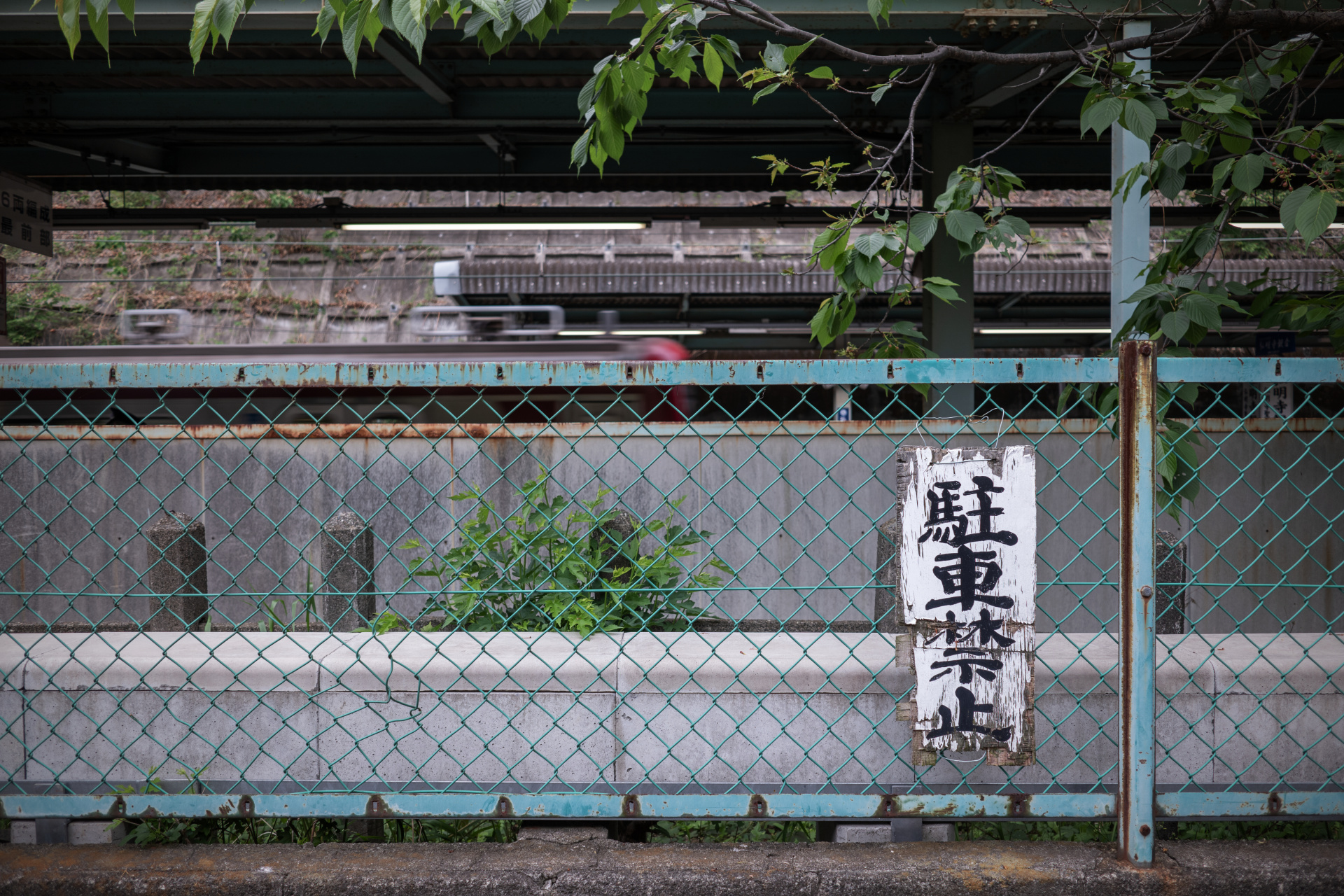 ボディ側での電子補正も行われているかもしれないが、歪曲収差はかなり少なめで直線物も安心して撮影可能。ライカCL / ISO100 / F2.8 / 1/200秒 / WB:オート