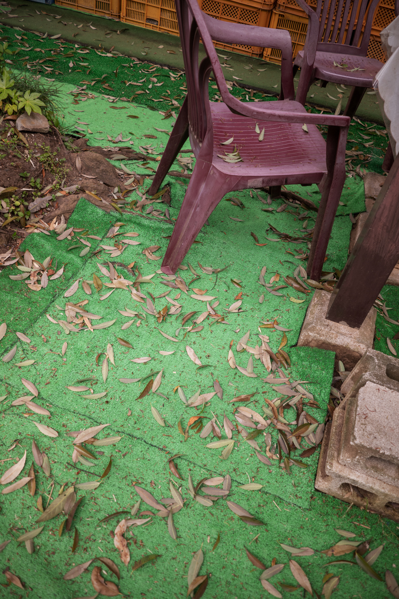 今回はカメラがライカCLだったので、ほぼすべてEVFを使って撮影したが、ライカTLシリーズと組み合わせて液晶モニターで軽快に撮影する用途にも適したレンズだ。ライカCL / ISO100 / F2.8 / 1/60秒 / WB:オート