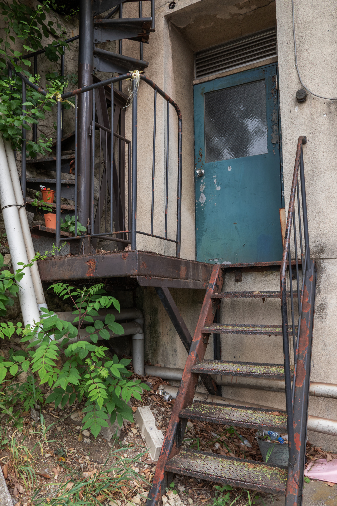 少し深度が欲しかったのでF5.6で撮影。満足できるディテール描写を得られた。ライカCL / ISO400 / F5.6 / 1/60秒 / WB:オート