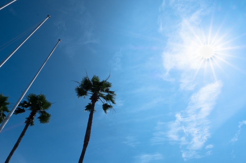 撮影：山崎えりこさん