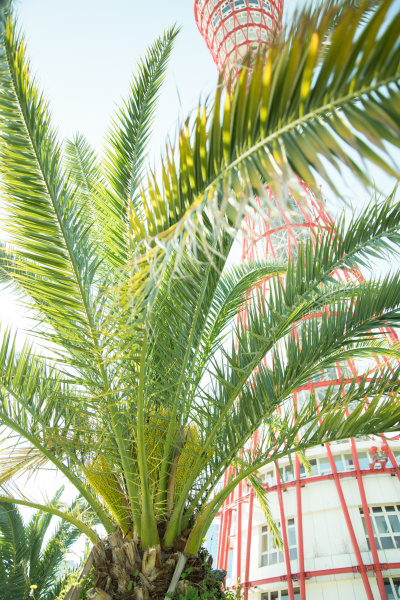 撮影：山崎えりこさん