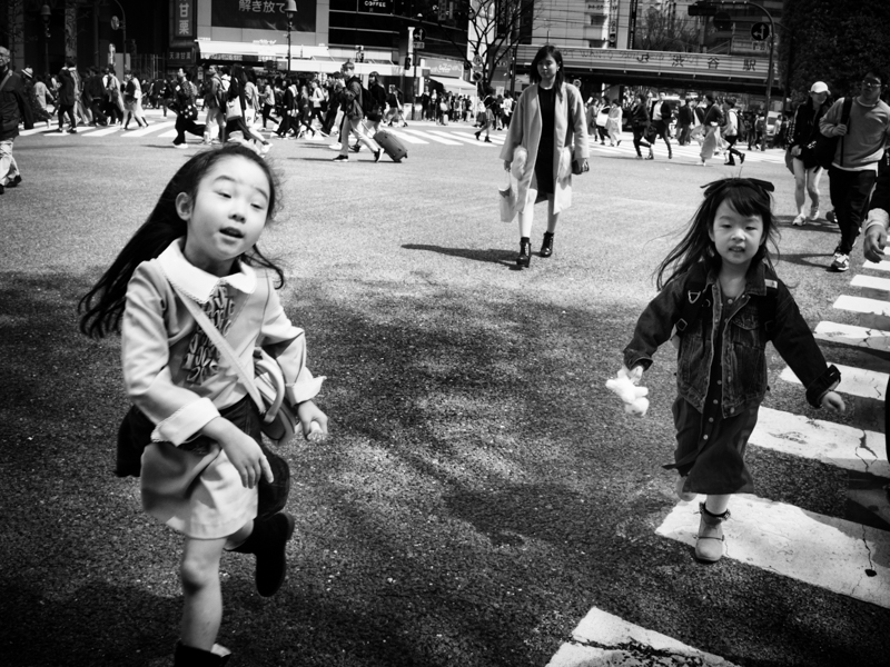 OLYMPUS E-M1 Mark II / M.ZUIKO DIGITAL ED 17mm F1.2 PRO / マニュアル露出（F11・1/500秒） / ISO 1000