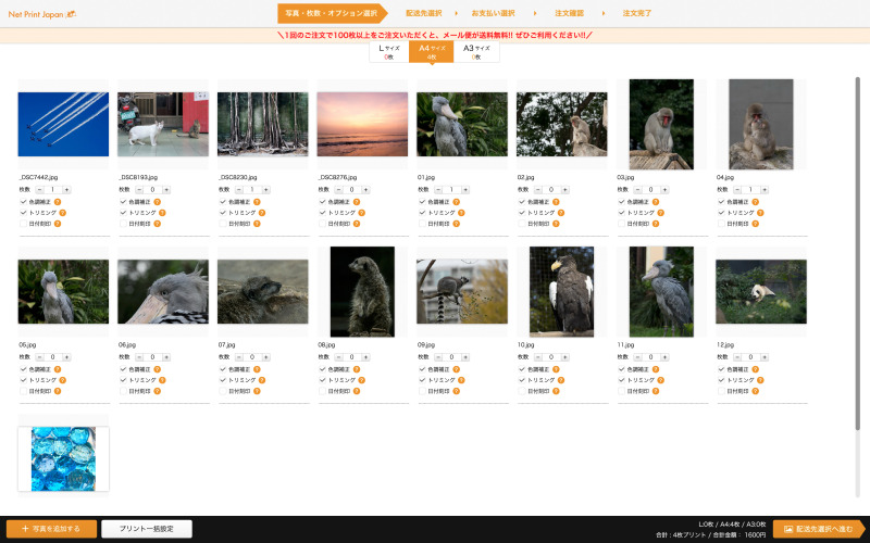 今回は動物園で撮影した写真を中心に選んだ。