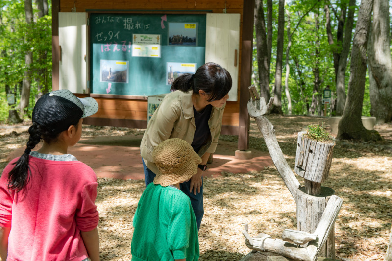 D850 / AF-S NIKKOR 24-70mm f/2.8G ED / 1/200秒 / F8 / 0EV / ISO 200 / 絞り優先AE / 58mm