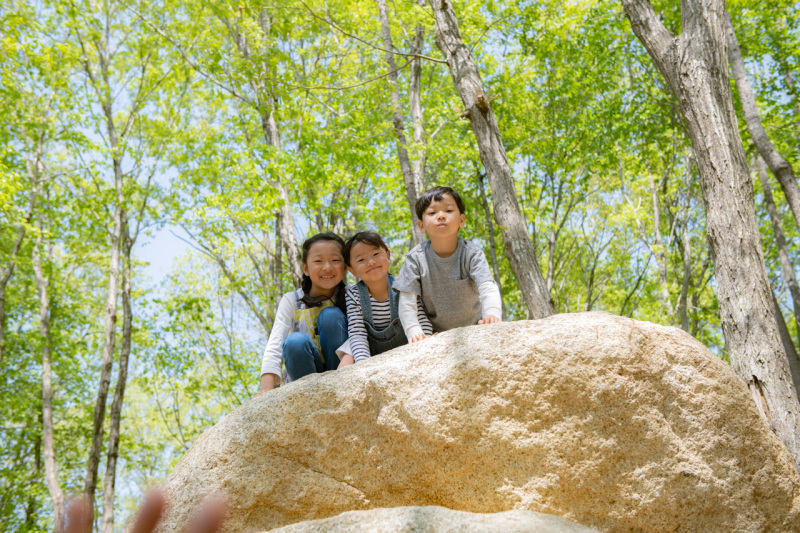 D850 / AF-S NIKKOR 24-70mm f/2.8G ED / 1/250秒 / F5.6 / -0.7EV / ISO 64 / 絞り優先AE / 48mm