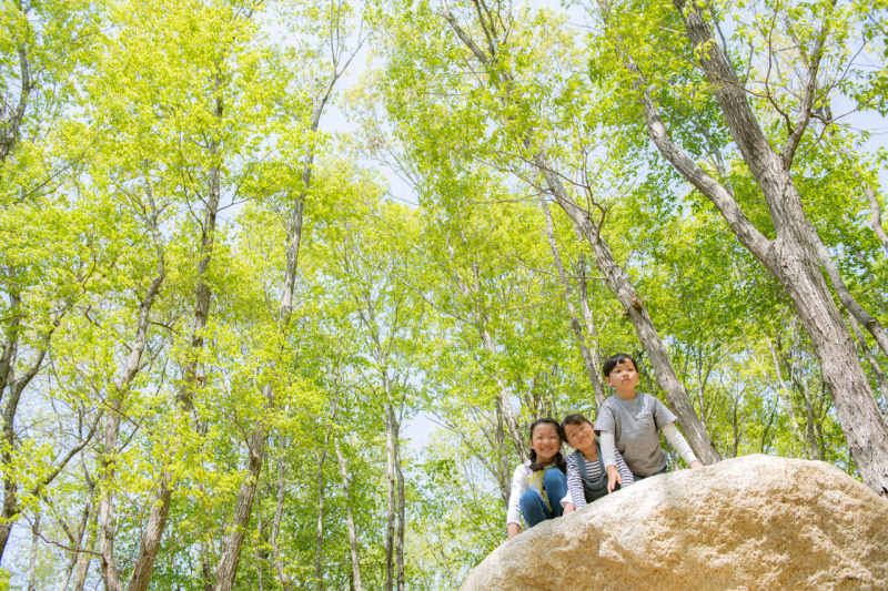 D850 / AF-S NIKKOR 24-70mm f/2.8G ED / 1/250秒 / F5.6 / -0.7EV / ISO 64 / 絞り優先AE / 32mm