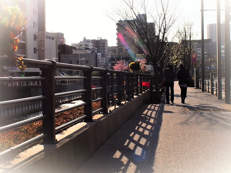 撮影者名：tomoさん<br>散歩中逆光で人と手すりの影を撮って見ました。ひと様の影の写真に触発されて、トライしてみました。宜しくお願い致します<(_ _)>