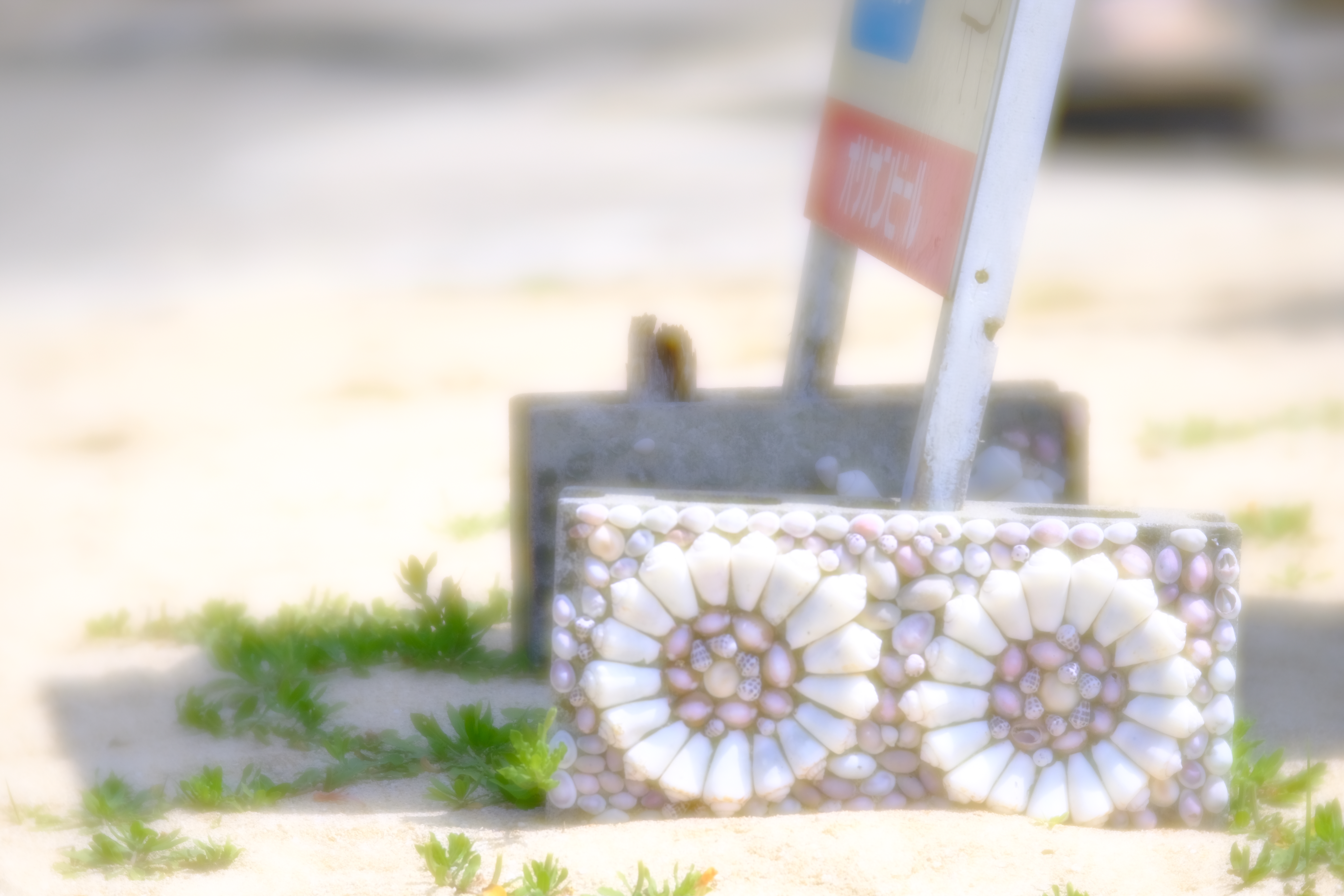 X-E3 / Velvet 85 / 1/4,000秒 / F2 / +1EV / ISO 200 / 絞り優先AE / フィルムシミュレーション：Velvia