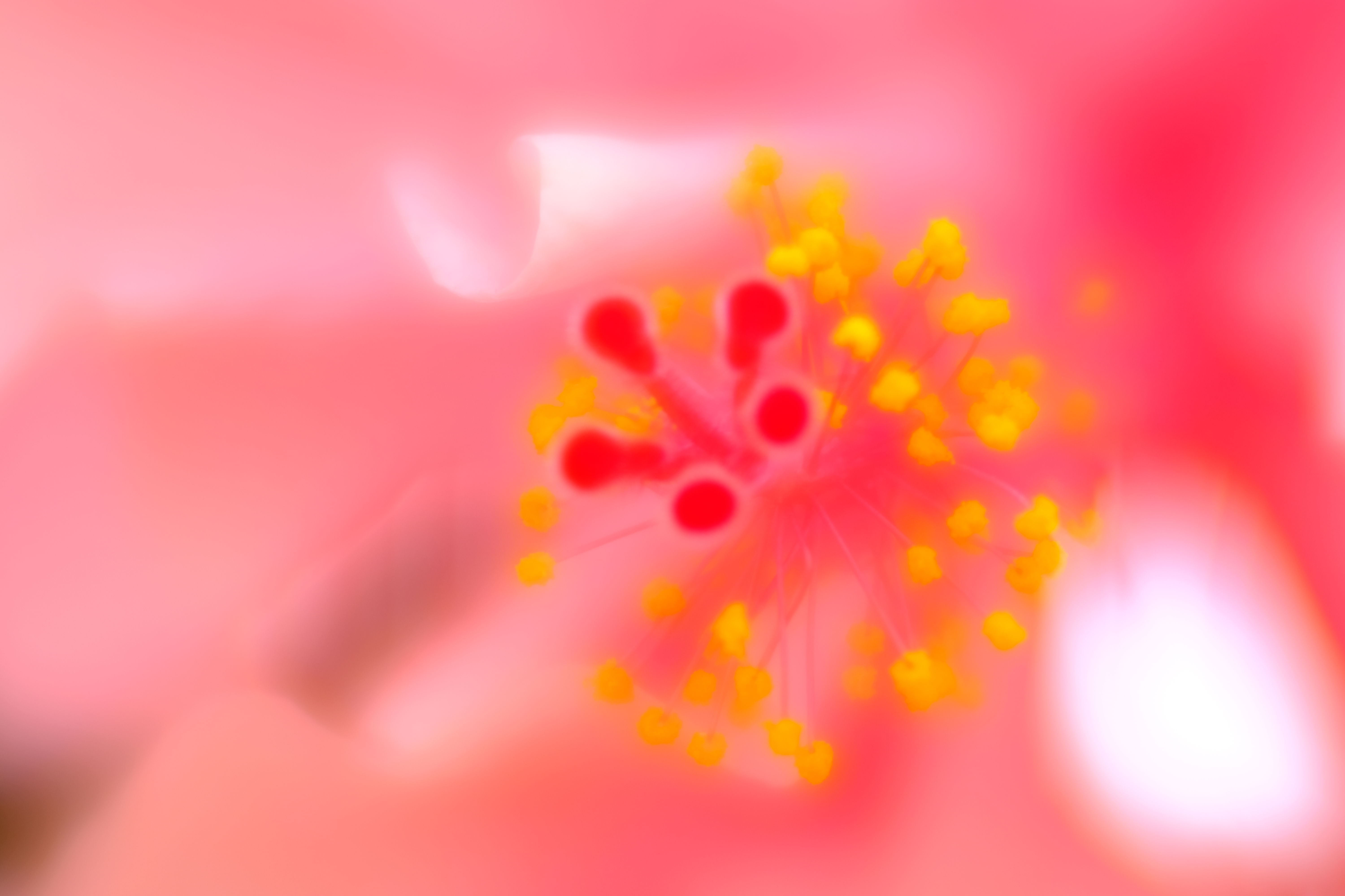 X-E3 / Velvet 85 / 1/210秒 / F1.8 / +1.7EV / ISO 200 / 絞り優先AE / フィルムシミュレーション：Velvia