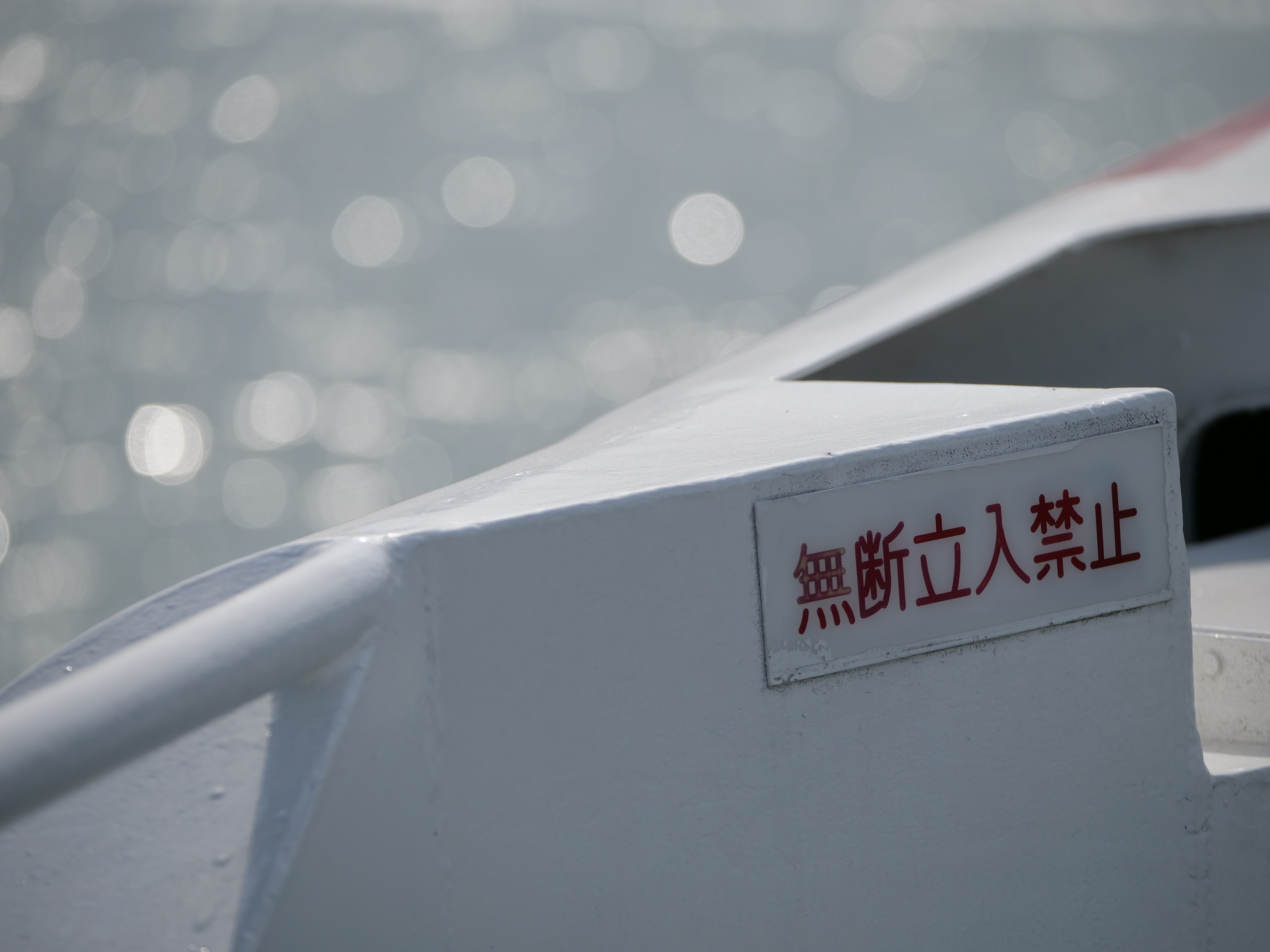 LUMIX G9 PRO / LEICA DG VARIO-ELMARIT 50-200mm / F2.8-4 ASPH. / POWER O.I.S. / 1/6,400秒 / F3.7 / 0EV / ISO 200 / 絞り優先AE / 127mm