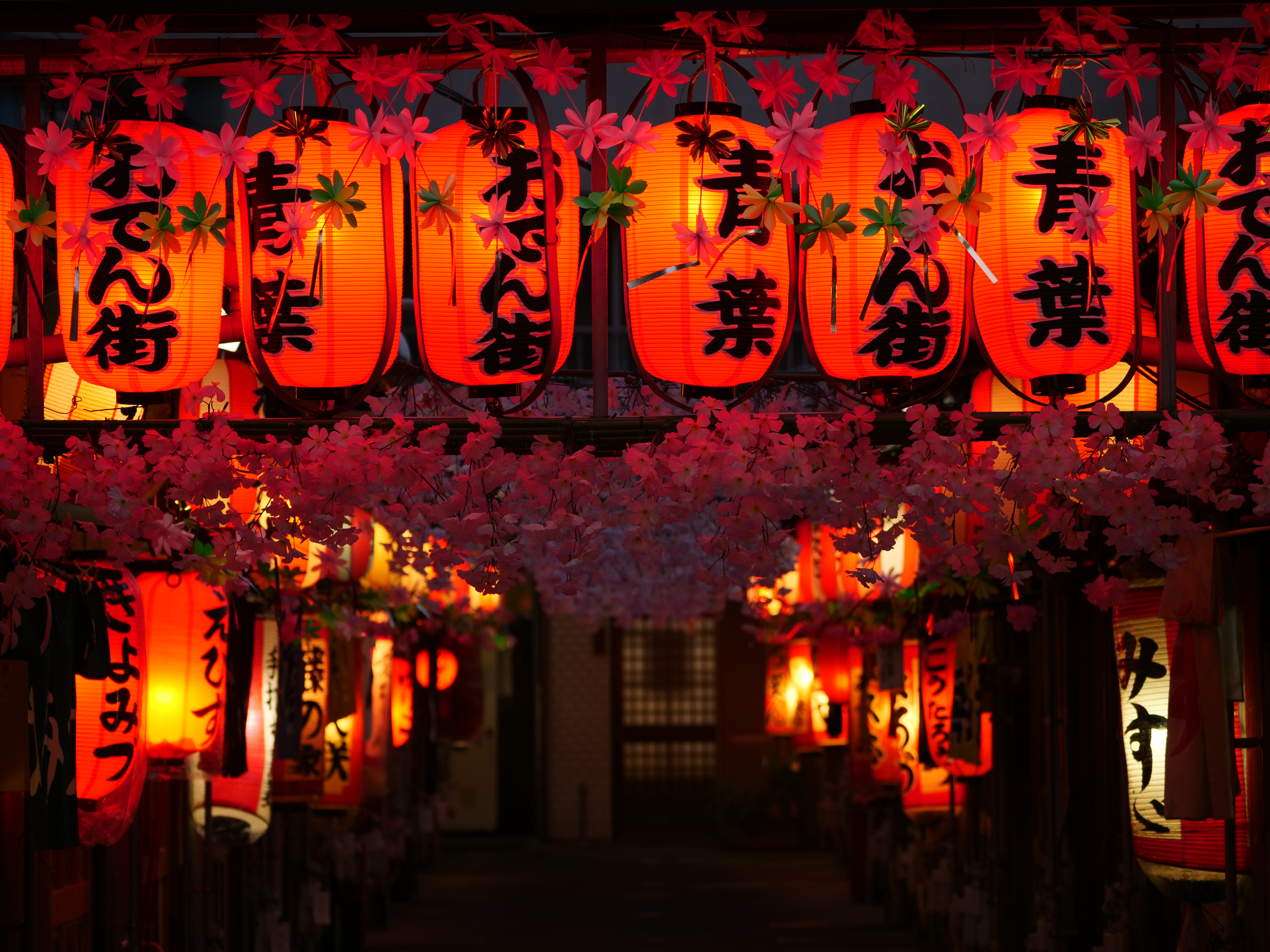 LUMIX G9 PRO / LEICA DG VARIO-ELMARIT 50-200mm / F2.8-4 ASPH. / POWER O.I.S. / 1/50秒 / F3.2 / 0EV / ISO 200 / 絞り優先AE / 62mm