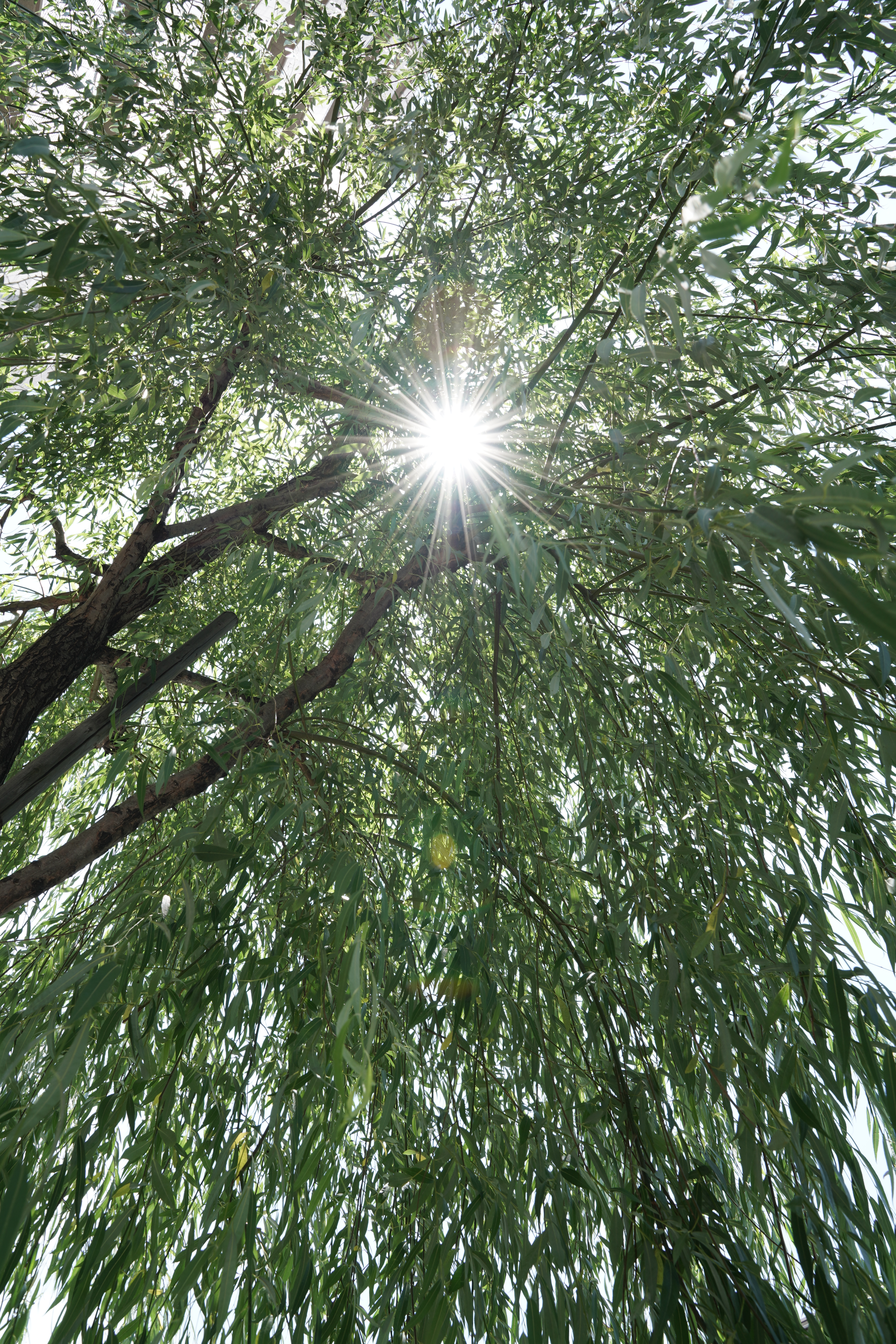 α7R III / 28-75mm F/2.8 Di III RXD / 1/60秒 / F11 / 0EV / ISO 200 / マニュアル露出 / 28mm