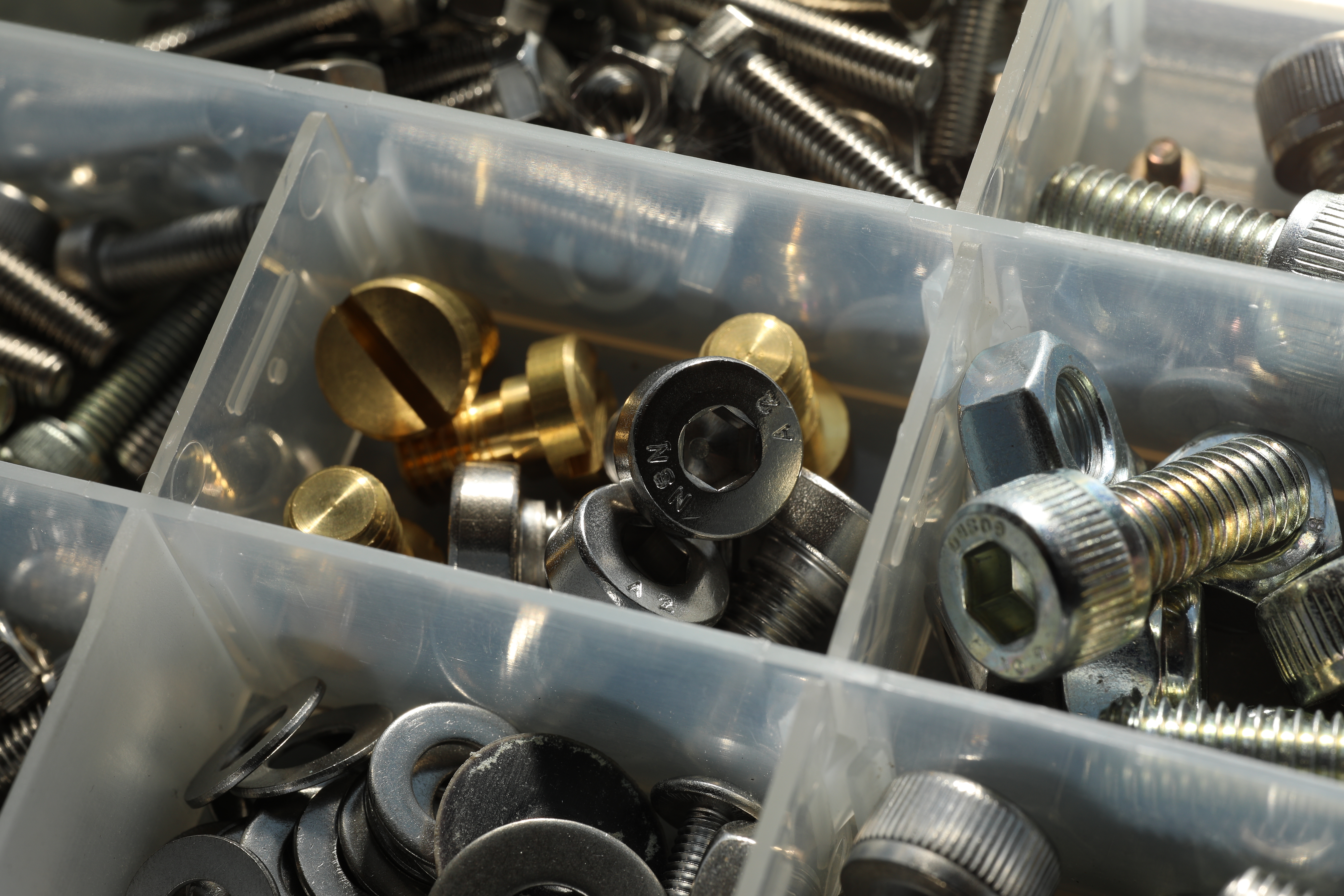 EOS 5D Mark IV / 70mm F2.8 DG MACRO | Art / 1/25秒 / F11 / -1EV / ISO 100 / 絞り優先AE / 70mm