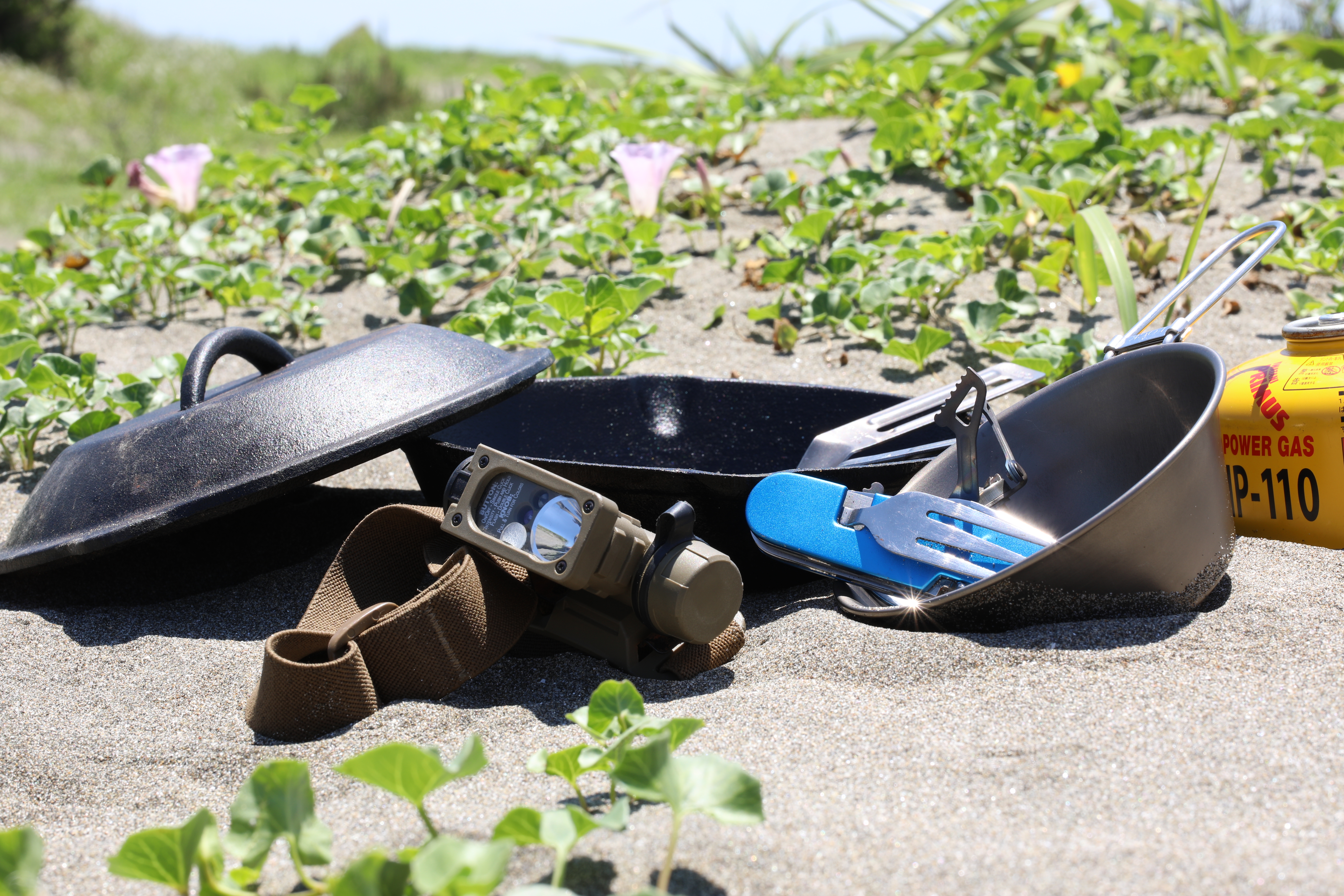 EOS 5D Mark IV / 70mm F2.8 DG MACRO | Art / 1/30秒 / F16 / 0EV / ISO 100 / 絞り優先AE / 70mm