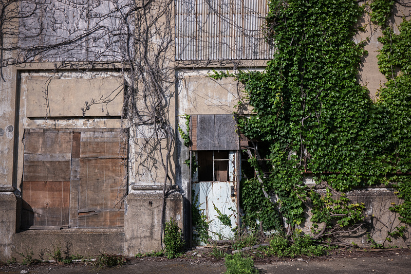 金網越しだったのでフードを外して網目から撮影。レンズ径が大きすぎないメリット。ライカCL / ISO100 / F8 / 1/200秒 / WB:オート / 23mm