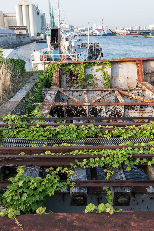 近接、中距離、遠景といろいろな被写体を撮ってみたが、撮影距離に関わらず描写は常に安定している。ライカCL / ISO200 / F8 / 1/50秒 / WB:オート / 23mm