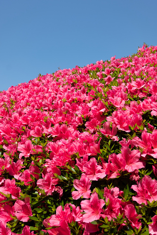 最新設計らしい、スカッとヌケのいい描写を得られる。ライカCL / ISO100 / F8 / 1/250秒 / WB:オート / 23mm