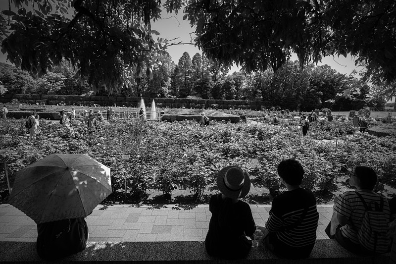 RAW現像時にモノクロ化した。硬すぎない描写なのでモノクロにしても味わいがある。ライカCL / ISO400 / F10 / 1/250秒 / WB:オート / 11mm