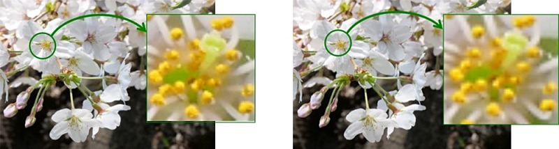 有機ELマイクロディスプレイの画像比較。新商品（UXGA）（左）と従来品（QVGA）（右）