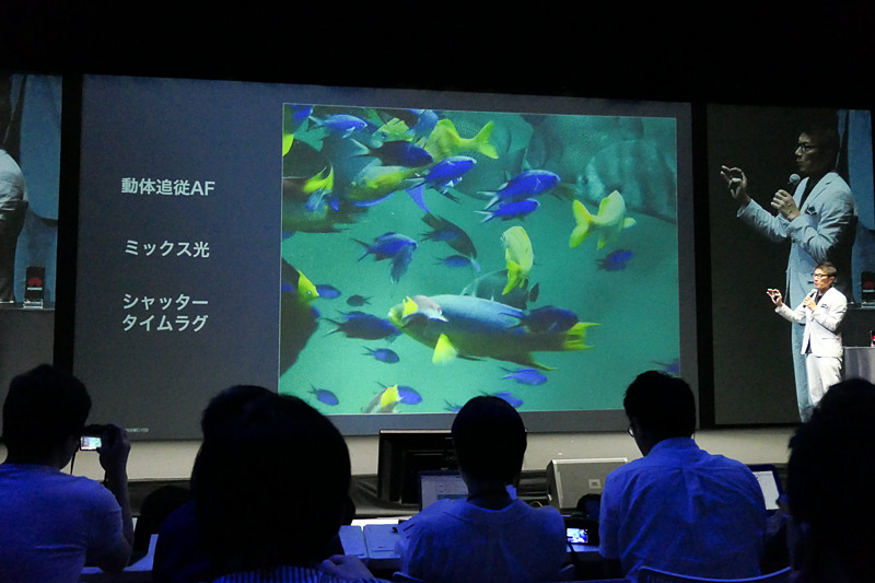 「デジタルカメラの苦手な条件がほぼ揃っている」という水族館での撮影。動きが予測しづらく、ミックス光のシーンが多く、シャッタータイムラグの短さが問われる。