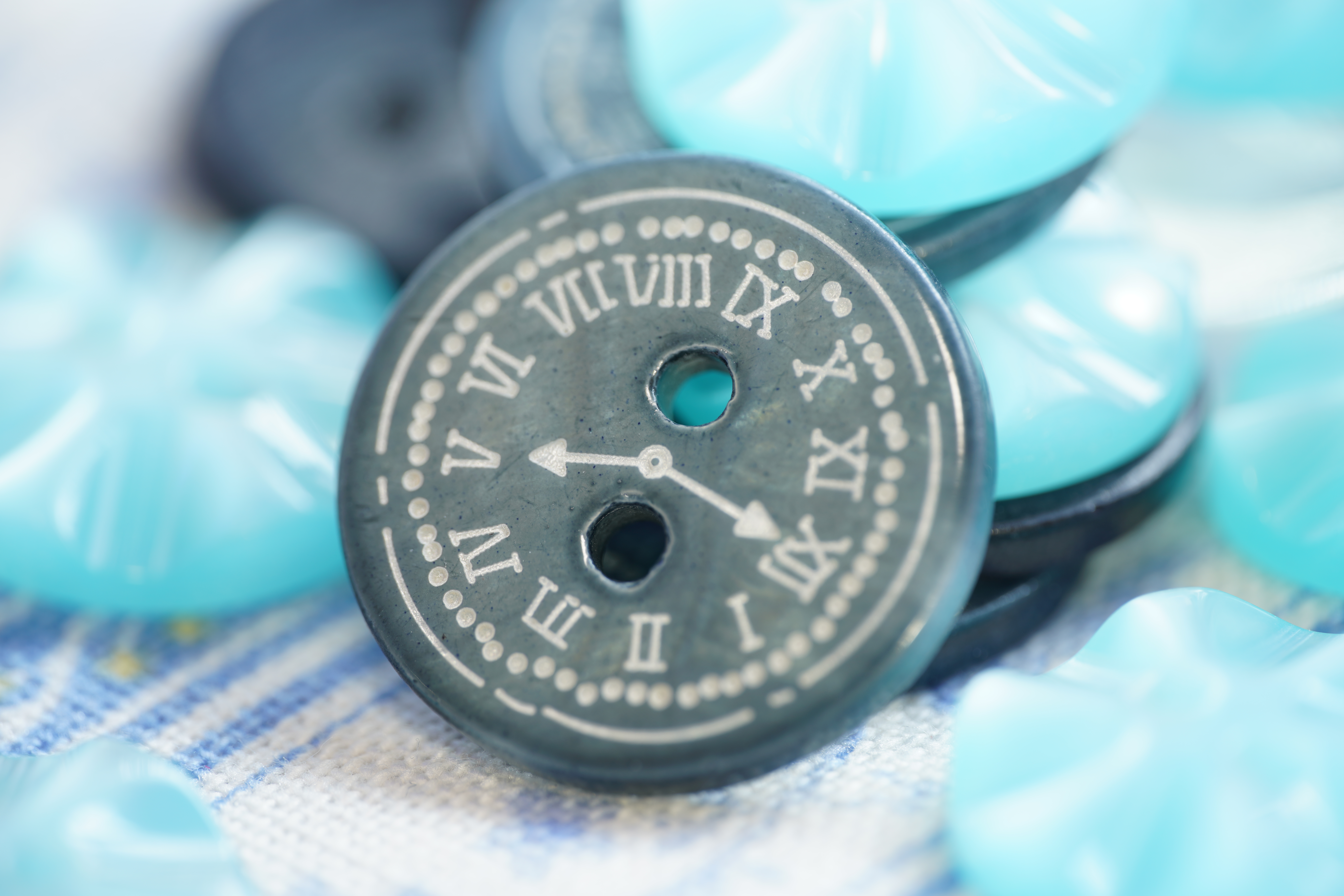 α7R III / MACRO APO-LANTHAR 110mm F2.5 E-mount / 1秒 / F5.6 / +1EV / ISO 100 / 絞り優先AE / 110mm