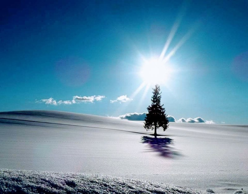 タイトル：メリークリスマス／撮影地：上川郡／撮影者：えーこさん