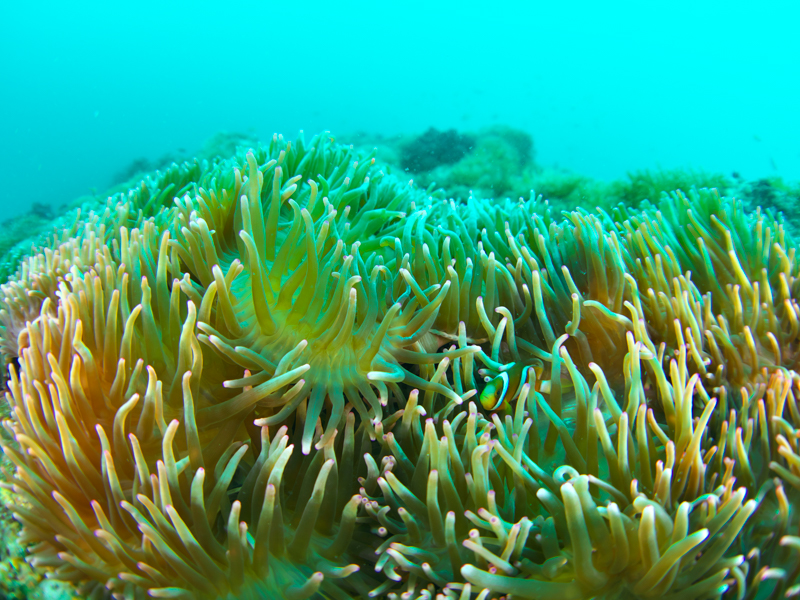 撮影：中村武弘<br><span class="fnt-85">OLYMPUS E-M1 Mark II / M.ZUIKO DIGITAL ED 8mm F1.8 Fisheye PRO / マニュアル露出（F3.5・1/250秒） / ISO 200</span>
