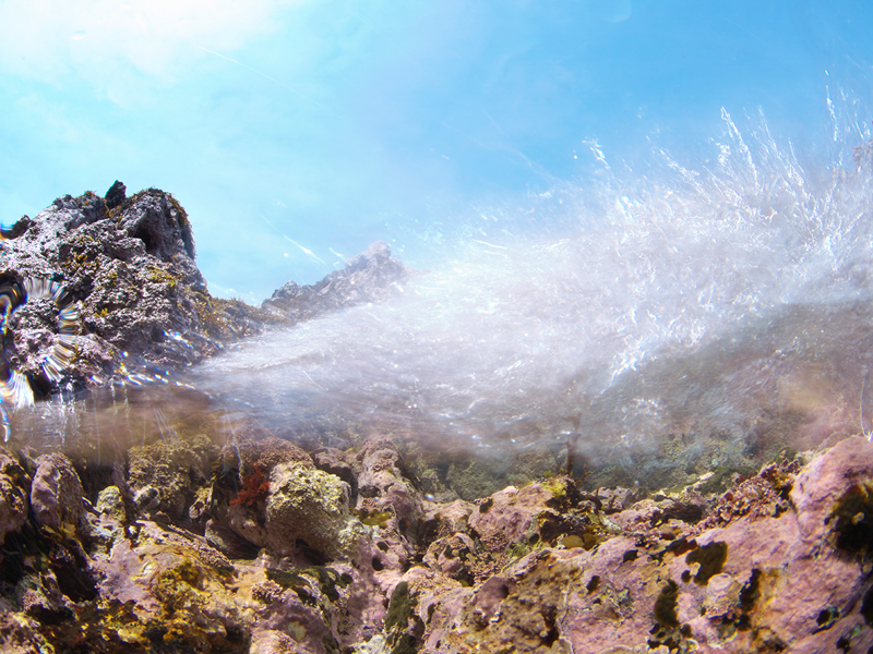 撮影：中村武弘<br><span class="fnt-85">OLYMPUS E-M1 Mark II / M.ZUIKO DIGITAL ED 8mm F1.8 Fisheye PRO / マニュアル露出（F20・1/20秒）/ ISO 64</span>