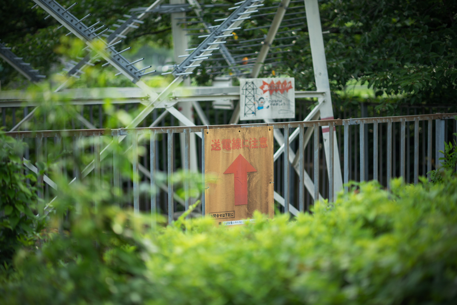 二線ボケになりがちなモチーフだが、その傾向はまったくない。ライカM（Typ240） / ISO200 / F1.25 / 1/4,000秒 / WB:オート