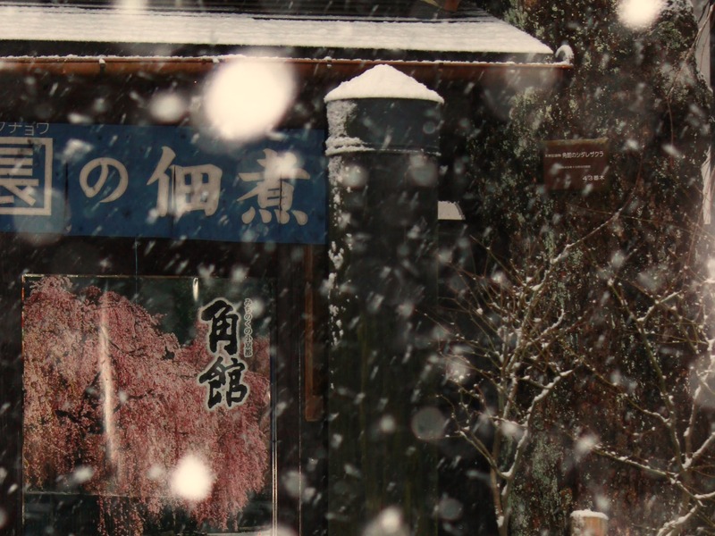 撮影者名：くぼけんさん<br>秋田県角館の初雪の時に撮影しました。角館は桜の名所です。それで長い冬の始まりは、本業とも言える春が近づいてきたという希望の高まりも表れるように感じ撮影しました。