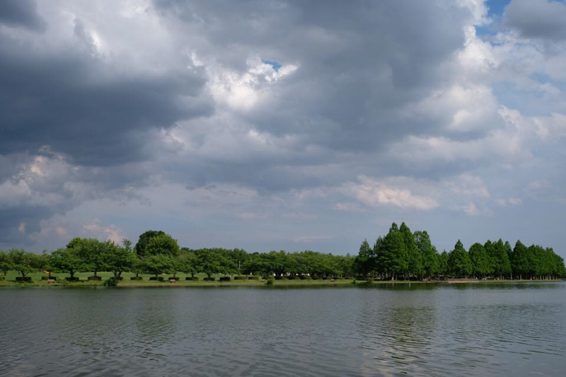 小合溜を挟んで、対岸の「みさと公園」を望む。みさと公園は埼玉県三郷市に属する。<br><span class="fnt-85">X-H1 / XF16-55mmF2.8 R LM WR / 25.7mm / 絞り優先AE（1/250秒・F11・±0EV） / ISO 200 / フィルムシミュレーション:PROVIA</span>
