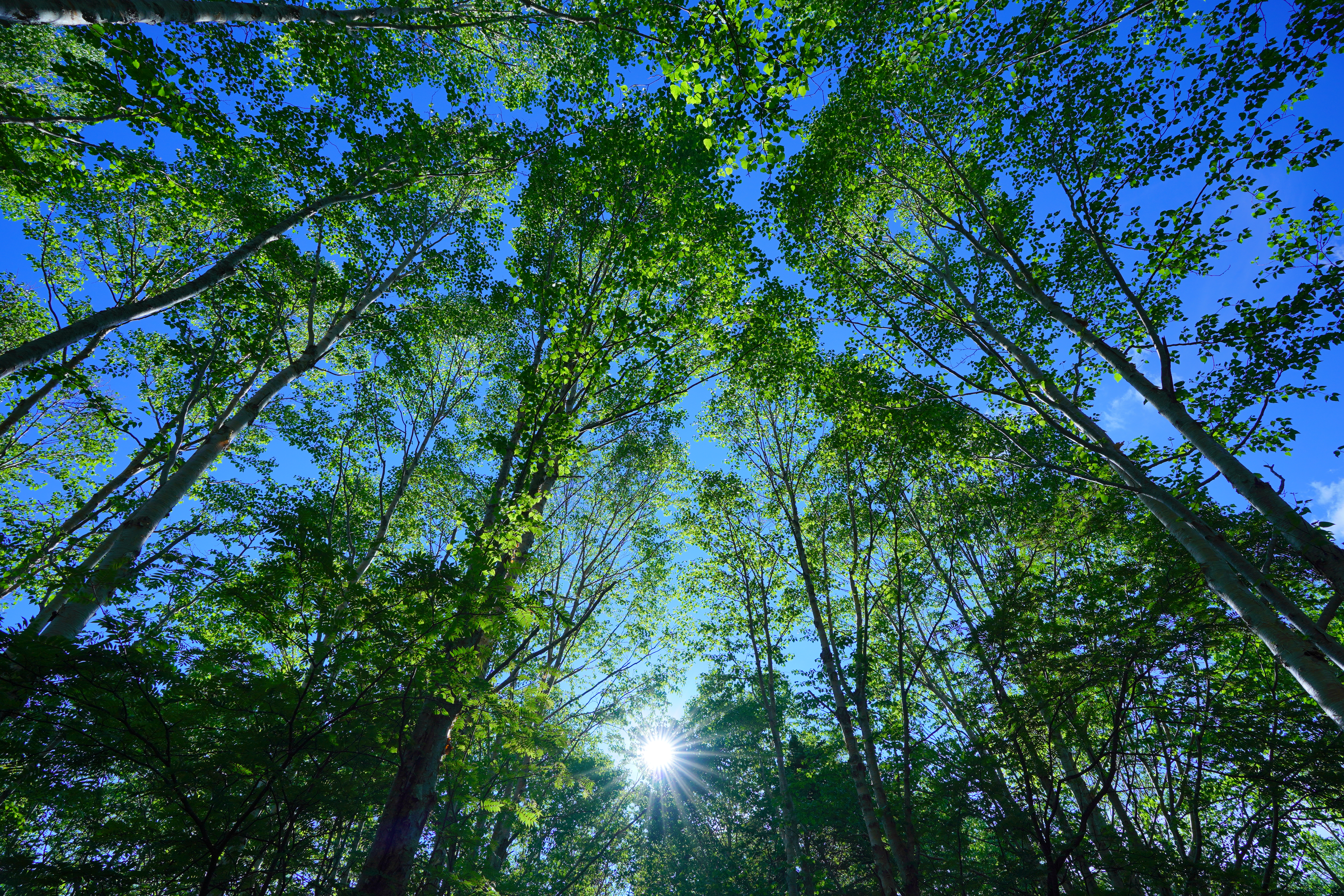 α7 III / FE 16-35mm F2.8 GM / 16mm / 絞り優先（F10・1/125秒・-0.3EV） / ISO 100 / WB:太陽光・微調整B4 / クリエイティブスタイル[夕景]（彩度+2、コントラスト-2）/ DRO[Lv5]