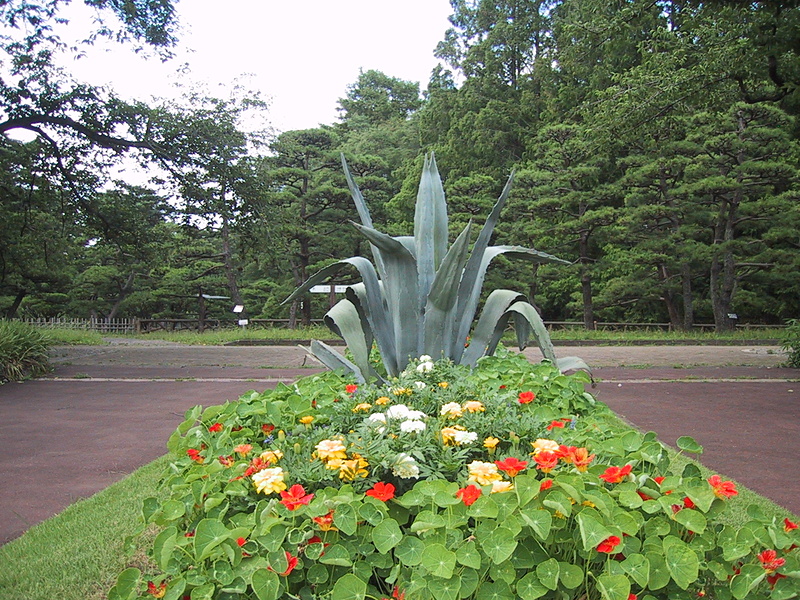 光学2倍ズームの広角端と望遠端の画角。どちらも十分とは言えない画角だが、自然な描写が得られる使いやすいズーム域ではある。広角端（35mm相当）