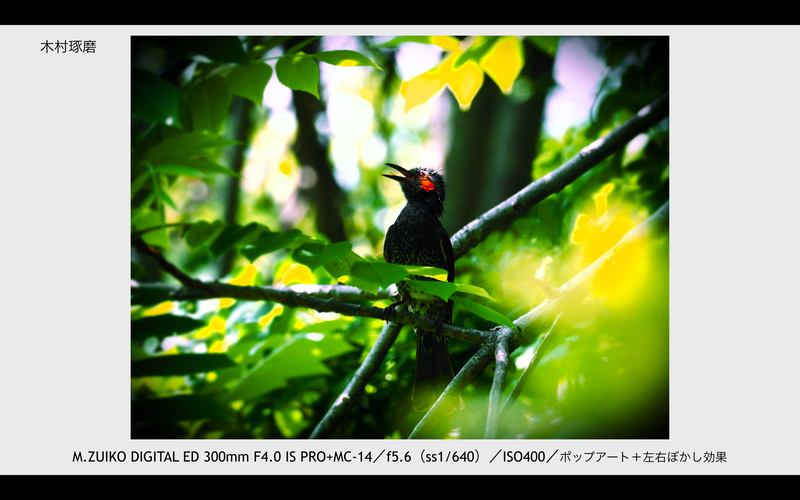 撮影：木村琢磨