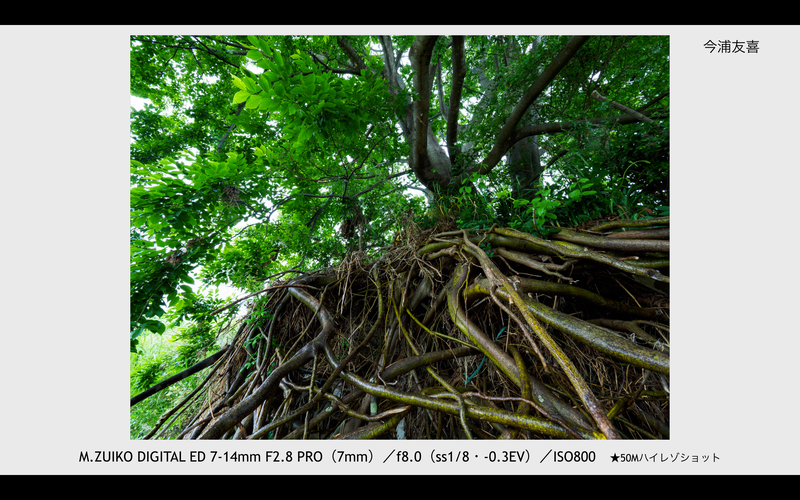 撮影：今浦友喜