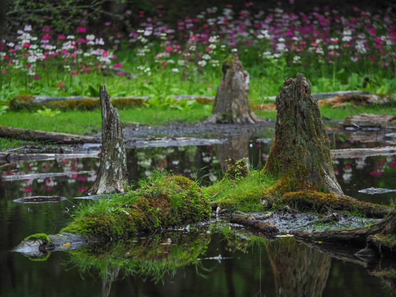 撮影：萩原史郎
