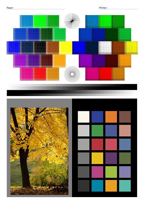 筆者オリジナルのテスト画像。今回もこれを用いて検証した。