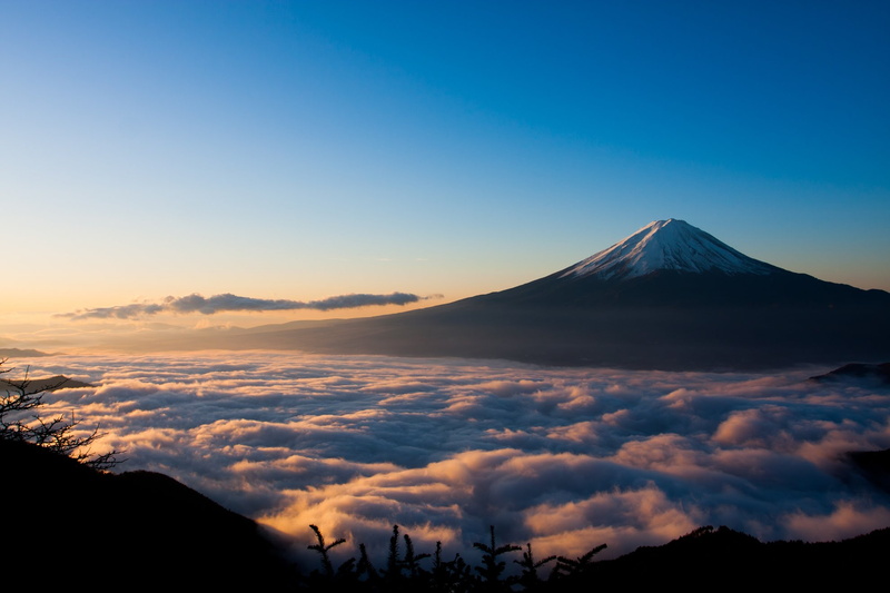 撮影者名：ひるしげさん<br>かなり前（2009年）の写真です。夜中から立ち込めた霧が厚い雲海に変わり、太陽の光が富士山山頂に当り出したとき雲海の陰影も最高潮に達し、とてもドラマティックだったのを覚えています。