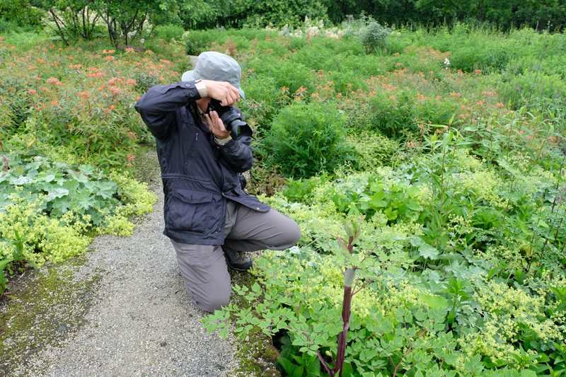 「十勝千年の森」のガーデンにて。