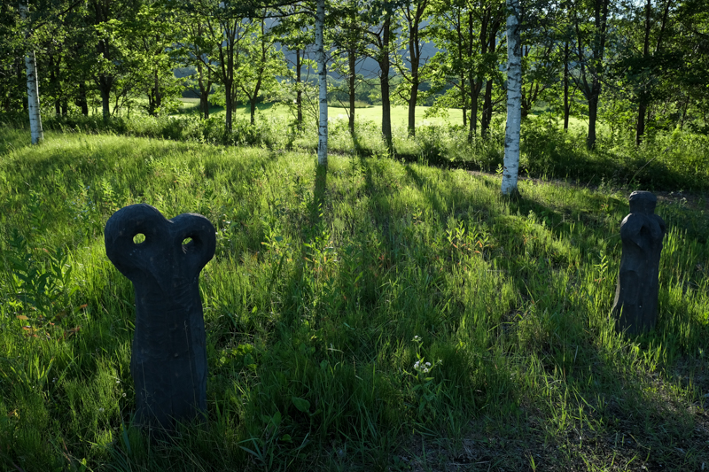 撮影：野呂希一<br><span class="fnt-90">X-H1 / 21.4mm（32mm相当） / 絞り優先AE（1/2,500秒・F8・-0.3EV） / ISO 800</span>